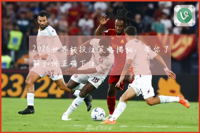 2026世界杯投注策略揭秘，带你了解如何正确下注