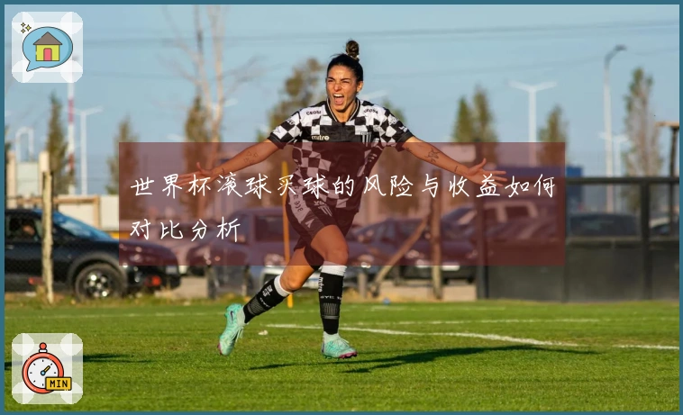 世界杯滚球买球的风险与收益如何对比分析