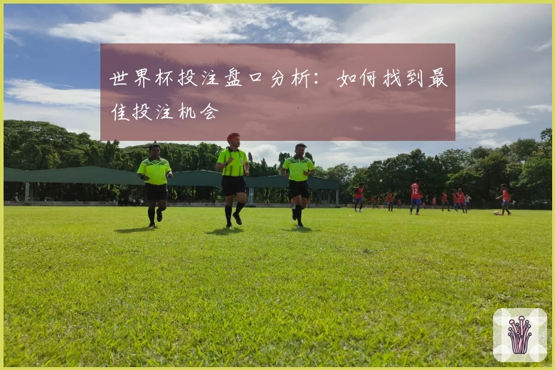 世界杯投注盘口分析：如何找到最佳投注机会