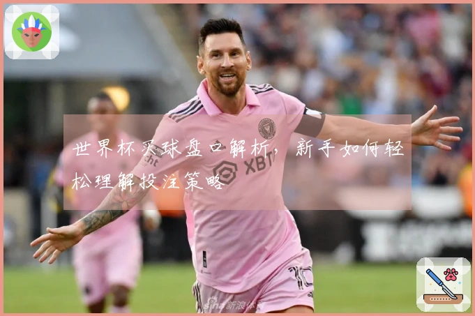 世界杯买球盘口解析，新手如何轻松理解投注策略