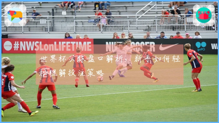 世界杯买球盘口解析，新手如何轻松理解投注策略