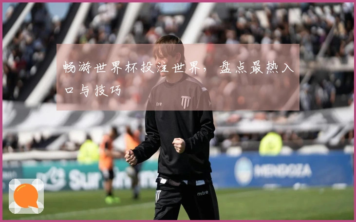 畅游世界杯投注世界，盘点最热入口与技巧