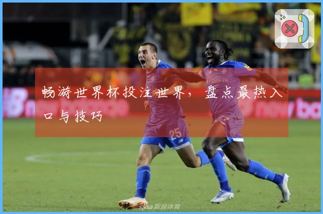 畅游世界杯投注世界，盘点最热入口与技巧