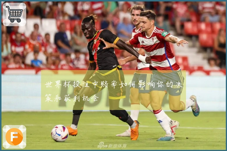 世界杯投注中赔率如何影响你的决策和获利机会