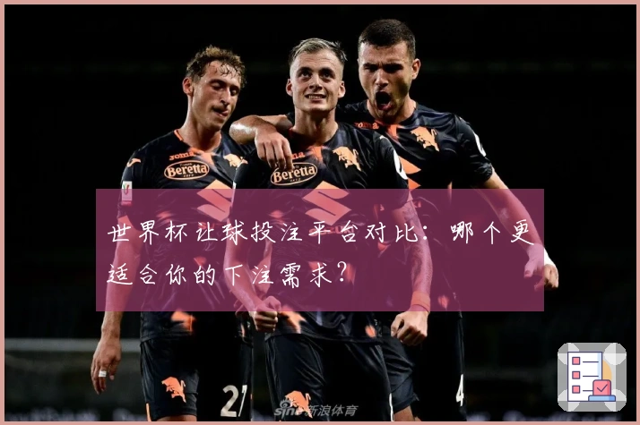 世界杯让球投注平台对比：哪个更适合你的下注需求？